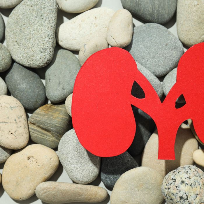 Kidney and Heart Disease: How They Are Connected
